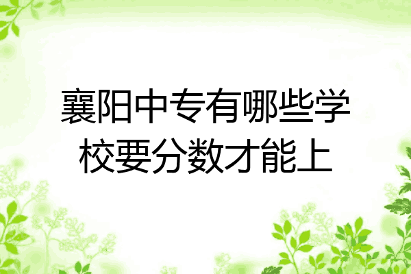 襄阳中专有哪些学校要分数才能上