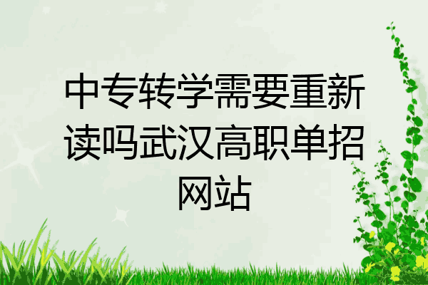 中专转学需要重新读吗武汉高职单招网站