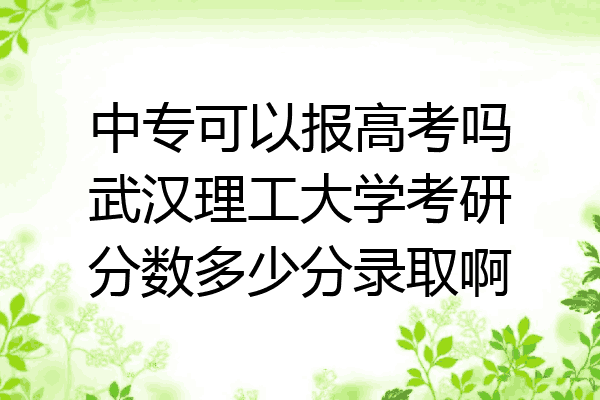 中专可以报高考吗武汉理工大学考研分数多少分录取啊