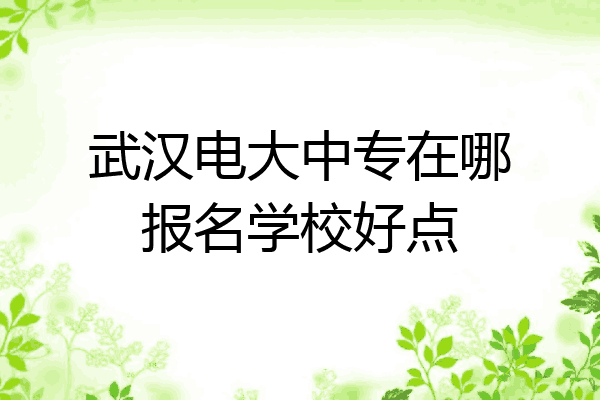 武汉电大中专在哪报名学校好点