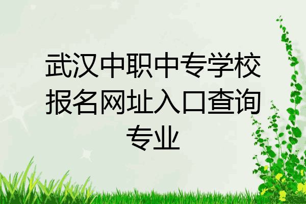 武汉中职中专学校报名网址入口查询专业