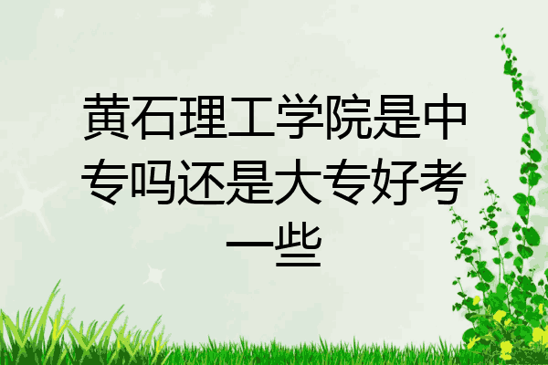 黄石理工学院是中专吗还是大专好考一些