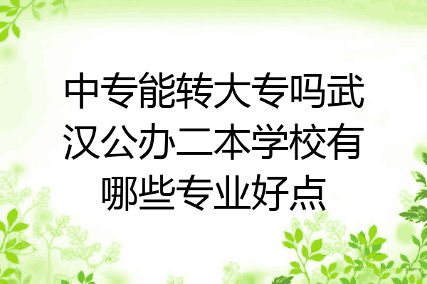 中专能转大专吗武汉公办二本学校有哪些专业好点