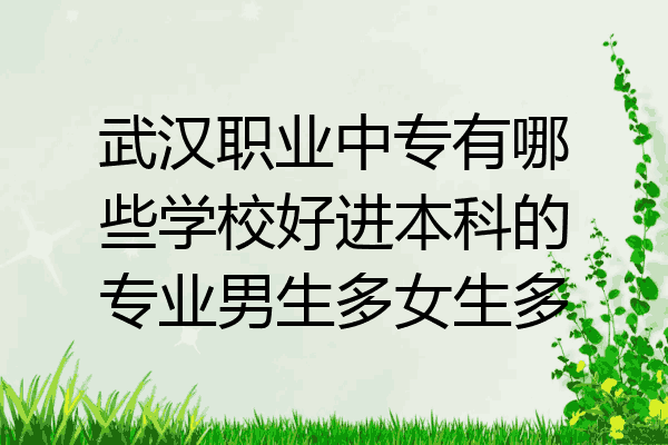 武汉职业中专有哪些学校好进本科的专业男生多女生多