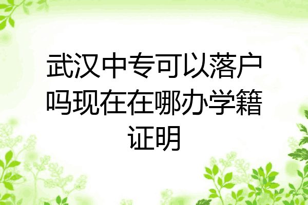 武汉中专可以落户吗现在在哪办学籍证明