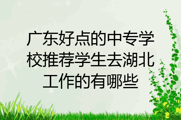 广东好点的中专学校推荐学生去湖北工作的有哪些