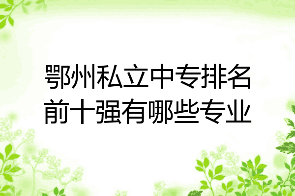 鄂州私立中专排名前十强有哪些专业