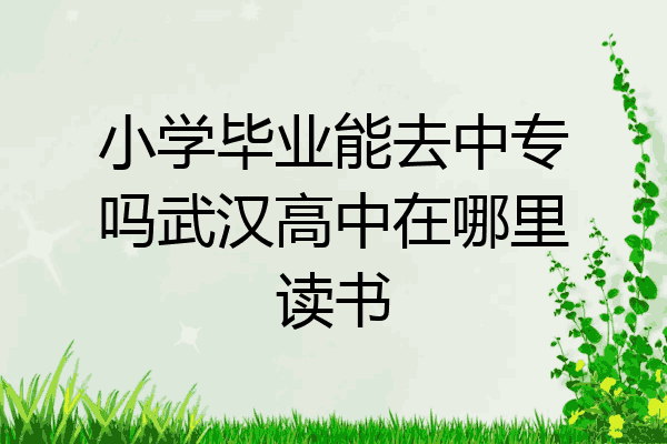 小学毕业能去中专吗武汉高中在哪里读书