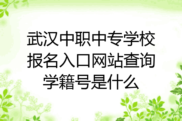 武汉中职中专学校报名入口网站查询学籍号是什么