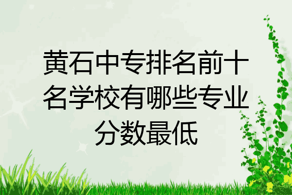 黄石中专排名前十名学校有哪些专业分数最低