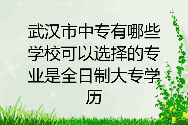 武汉市中专有哪些学校可以选择的专业是全日制大专学历