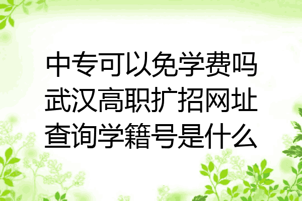 中专可以免学费吗武汉高职扩招网址查询学籍号是什么