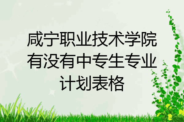 咸宁职业技术学院有没有中专生专业计划表格