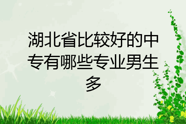 湖北省比较好的中专有哪些专业男生多