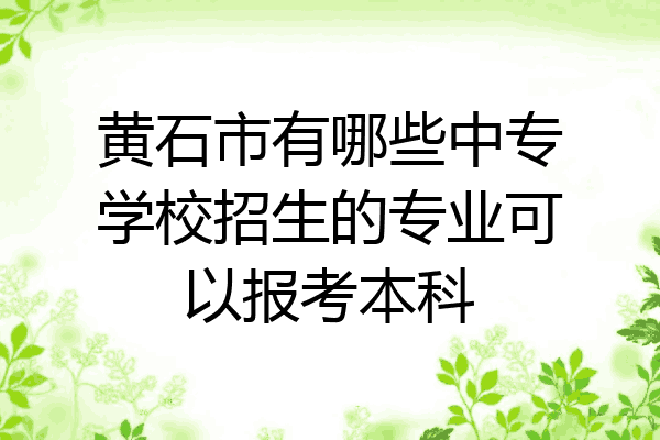 黄石市有哪些中专学校招生的专业可以报考本科