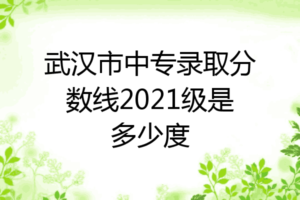武汉市中专录取分数线2021级是多少度