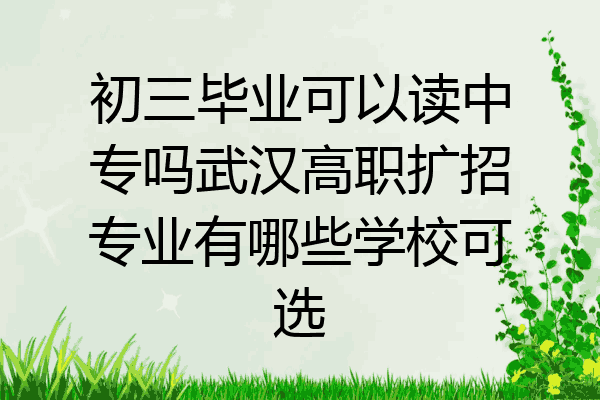 初三毕业可以读中专吗武汉高职扩招专业有哪些学校可选