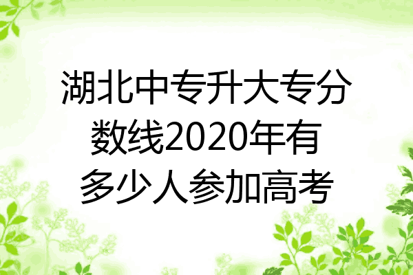 湖北中专升大专分数线2020年有多少人参加高考