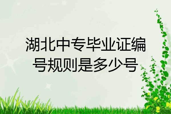 湖北中专毕业证编号规则是多少号