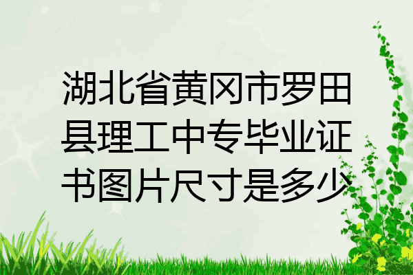 湖北省黄冈市罗田县理工中专毕业证书图片尺寸是多少