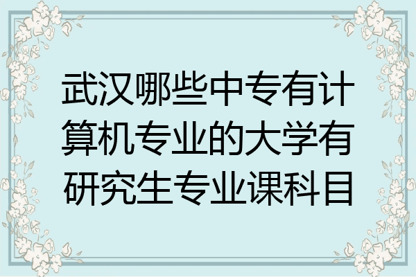 武汉哪些中专有计算机专业的大学有研究生专业课科目