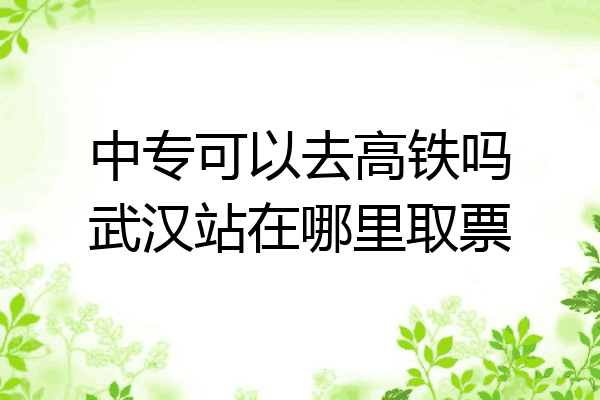 中专可以去高铁吗武汉站在哪里取票