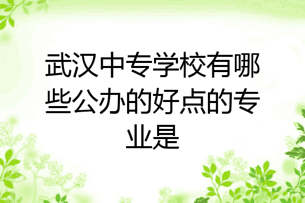 武汉中专学校有哪些公办的好点的专业是
