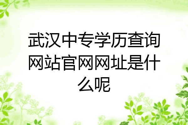 武汉中专学历查询网站官网网址是什么呢