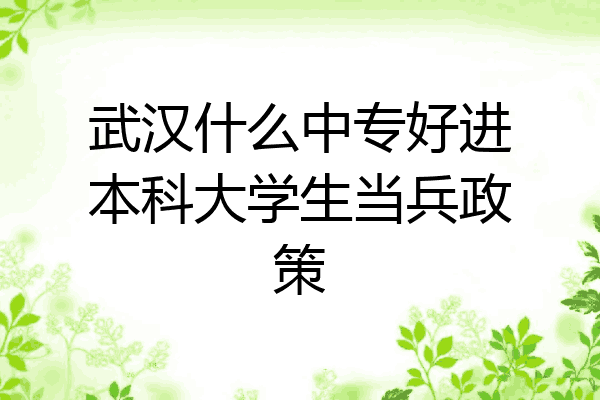 武汉什么中专好进本科大学生当兵政策