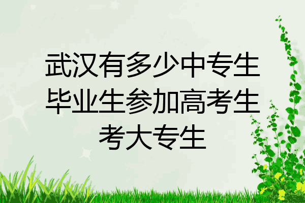 武汉有多少中专生毕业生参加高考生考大专生