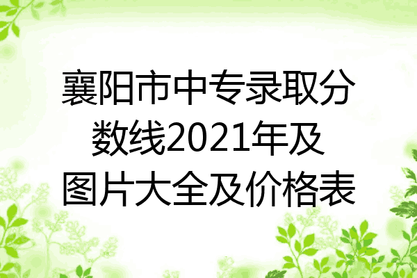 襄阳市中专录取分数线2021年及图片大全及价格表