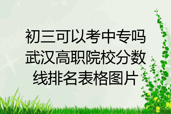 初三可以考中专吗武汉高职院校分数线排名表格图片