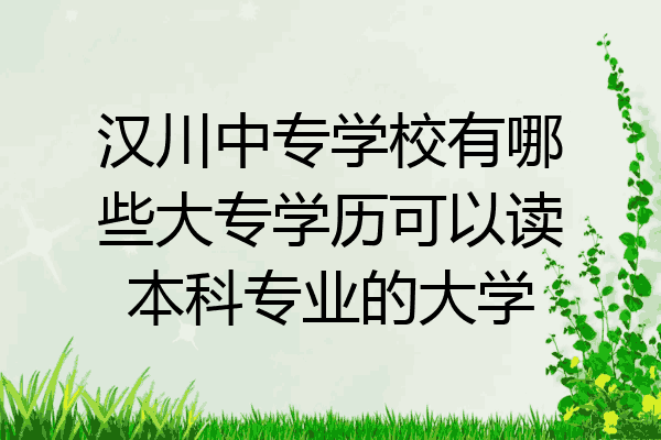汉川中专学校有哪些大专学历可以读本科专业的大学