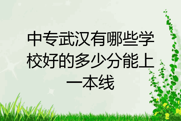 中专武汉有哪些学校好的多少分能上一本线
