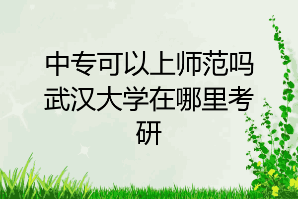 中专可以上师范吗武汉大学在哪里考研