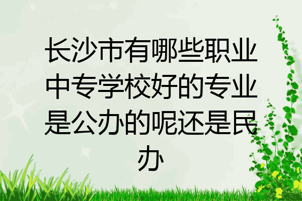 长沙市有哪些职业中专学校好的专业是公办的呢还是民办