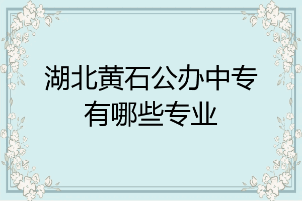 湖北黄石公办中专有哪些专业