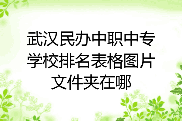 武汉民办中职中专学校排名表格图片文件夹在哪