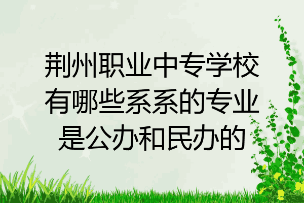 荆州职业中专学校有哪些系系的专业是公办和民办的