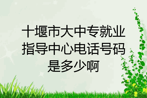 十堰市大中专就业指导中心电话号码是多少啊