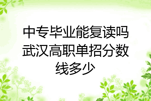 中专毕业能复读吗武汉高职单招分数线多少
