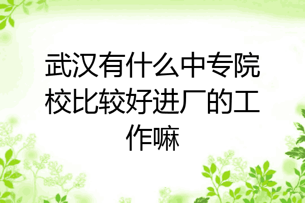 武汉有什么中专院校比较好进厂的工作嘛