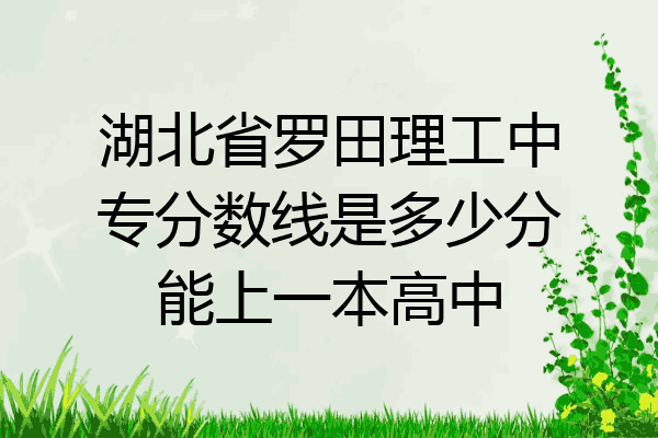 湖北省罗田理工中专分数线是多少分能上一本高中