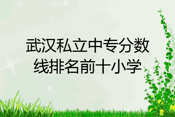 武汉私立中专分数线排名前十小学