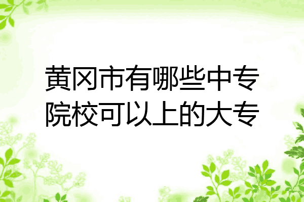 黄冈市有哪些中专院校可以上的大专