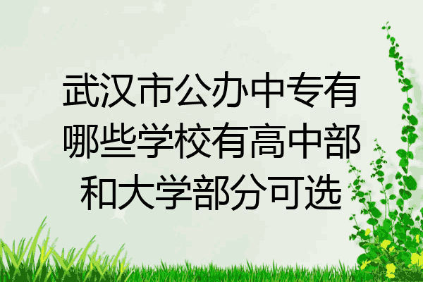 武汉市公办中专有哪些学校有高中部和大学部分可选