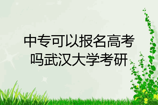 中专可以报名高考吗武汉大学考研