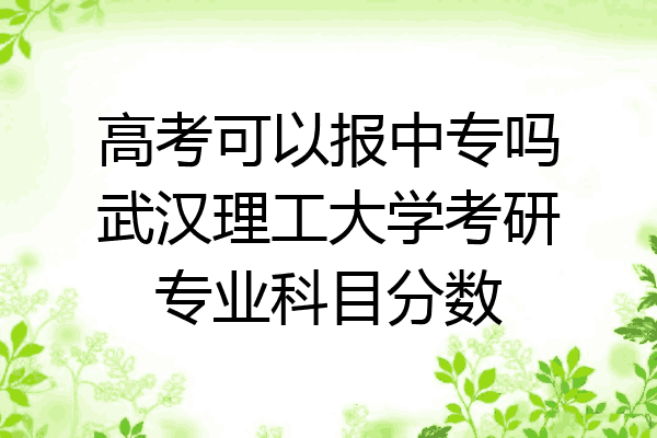 高考可以报中专吗武汉理工大学考研专业科目分数
