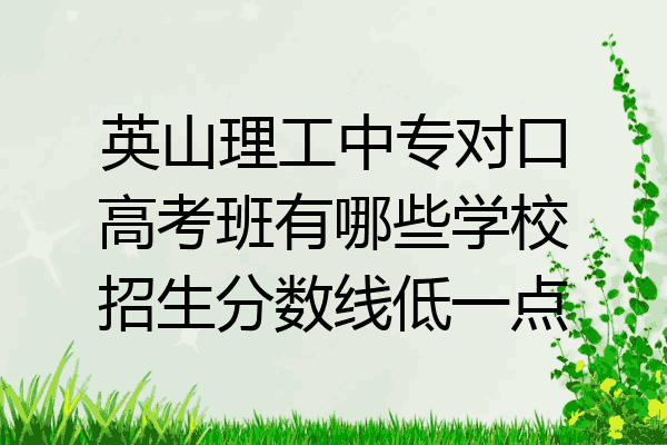 英山理工中专对口高考班有哪些学校招生分数线低一点