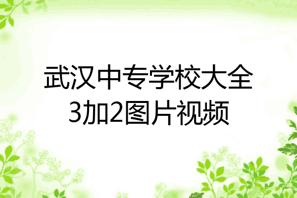 武汉中专学校大全3加2图片视频